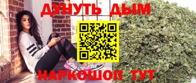 сатива Гусев