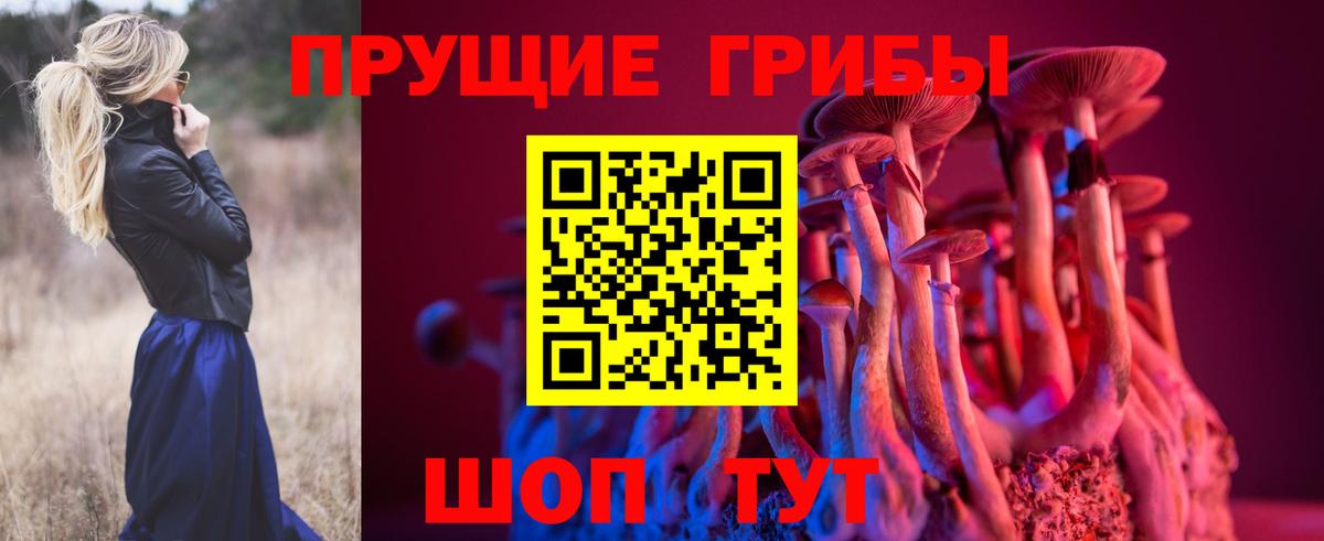 Шарыпово  Галлюциногенные грибы мухоморы  Вход с VPN 